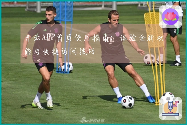 开云APP首页使用指南：体验全新功能与快捷访问技巧