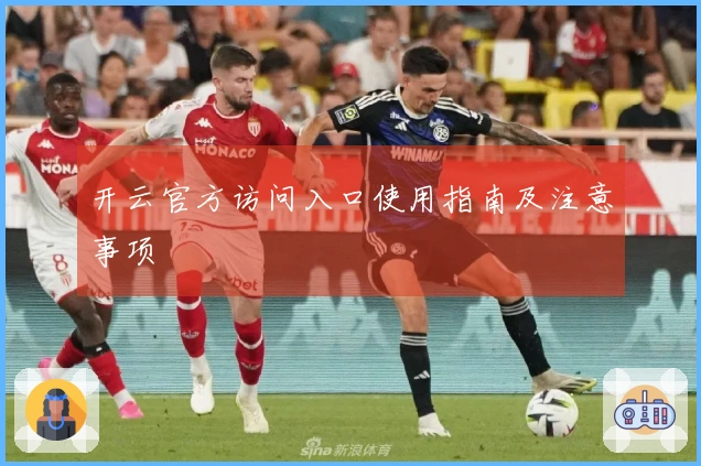 开云官方访问入口使用指南及注意事项