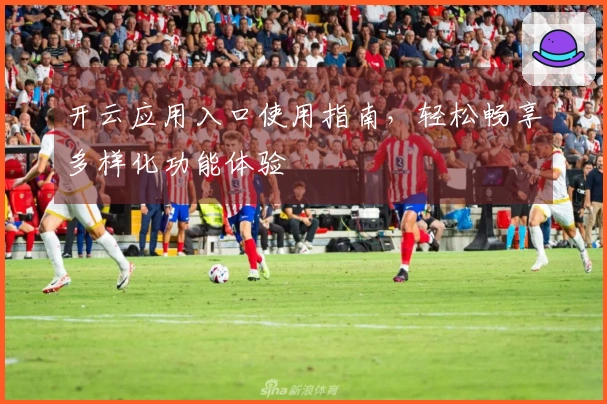 开云应用入口使用指南，轻松畅享多样化功能体验
